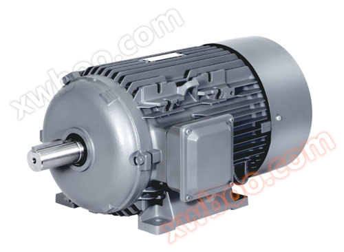 1TL0003 wuta baƙin ƙarfe jerin uku mataki makamashi inganci low ƙarfin lantarki uku mataki asynchronous inji