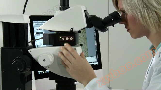 Leica microscope illumination (lighting) system